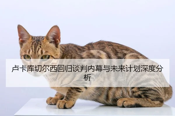 img_1787758581233_843_0_436.jpg